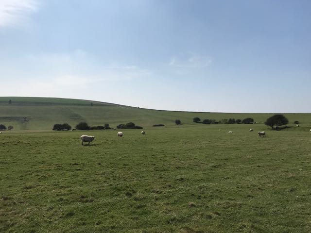 Countryside in Sussex